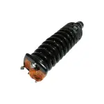 882639 - : Mercedes-Benz Suspension Strut and Coil Spring Assembly  - Rear for GSP Image