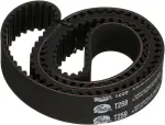 T259 - : Premium Automotive Timing Belt for Gates Image