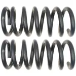 81200 - : Front Coil Spring Set for Moog Image