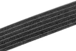 97300657 - Belts and Cooling: Serpentine Belt for ACDelco Image