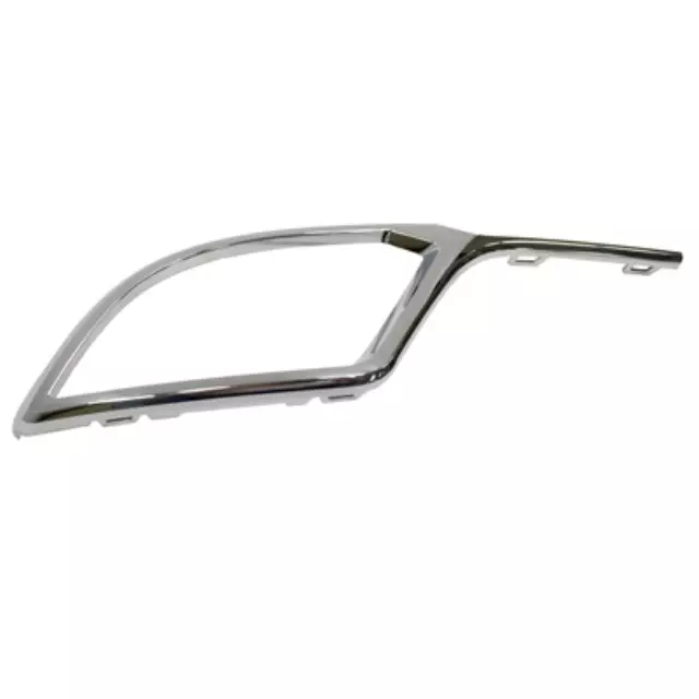 Trim Molding - Ford (BA1Z15266B)