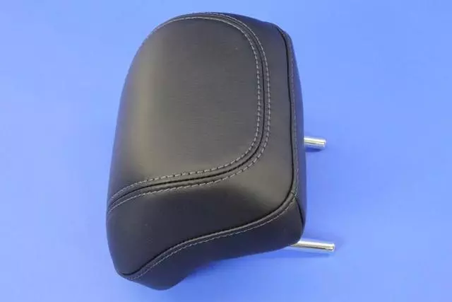 1VR073X9AB - Interior Trim: Rear Headrest, Center for Mopar Image