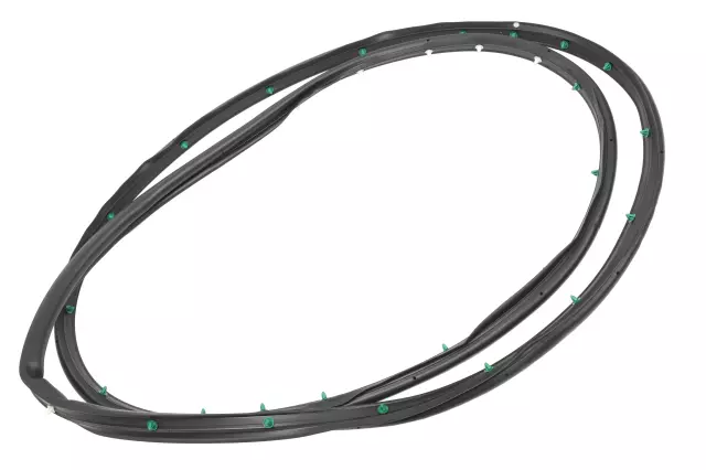 2013-2019 Cadillac XTS - Door Weather-Strip - GM (20864647)