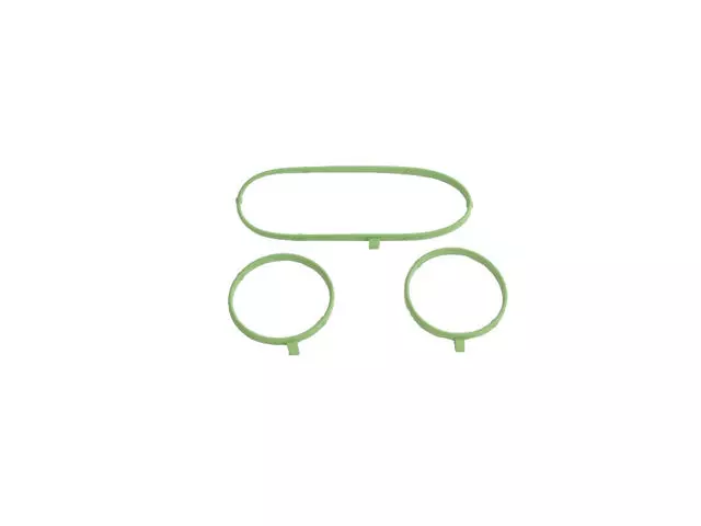 Water Pump Seal Kit - Mopar (68147596AA)