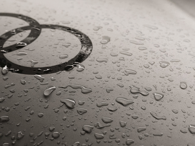 ZAW061205BK - Exterior: Outdoor Car Cover for Audi: RS5 Image