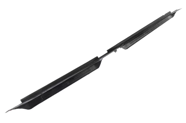 Black Driver Side Rocker Panel Molding - GM (15169655)