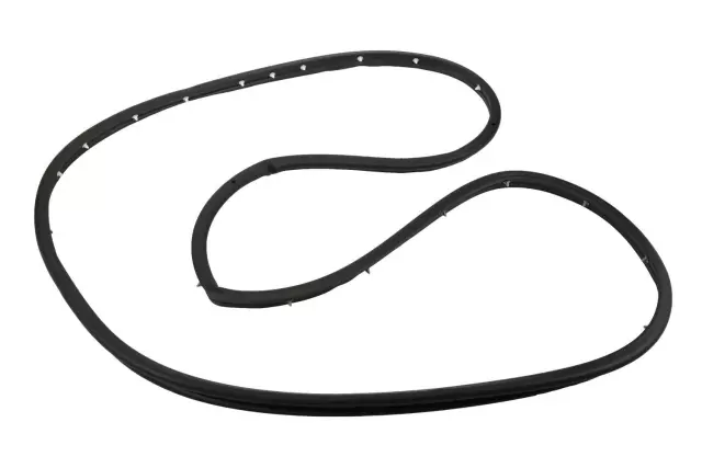 Front Driver Side Door Weatherstrip - GM (84234953)