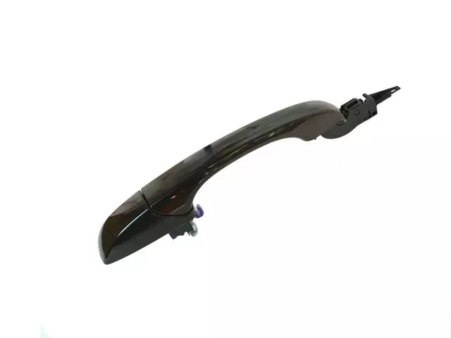 1MW30PGRAE - Doors, Door Mirrors and Related Parts: Exterior Door Handle, Right for Mopar Image