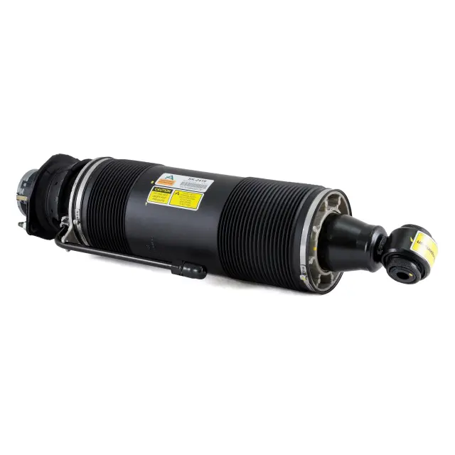 SK2419 - : Arnott Suspension Strut for Arnott Image