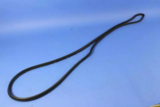 Front Door Opening Weatherstrip, Left - Mopar (68144959AC)