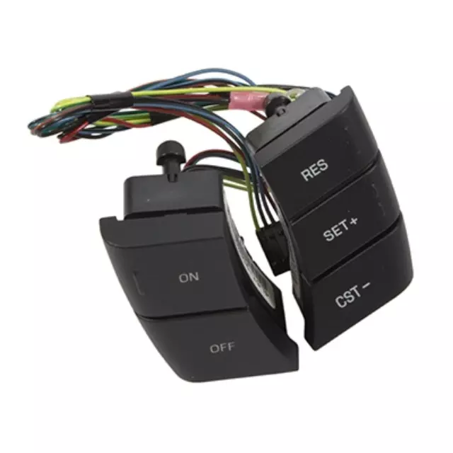 Switch Assembly - Steering Wheel - Ford (SW-6093)