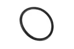 19316347 - : Converter Hub Lip Seal for Chevrolet: City Express Image