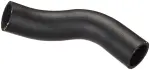 FNH131 - : Fuel Filler Hose for Spectra Premium Image