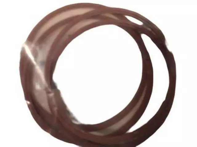 Automatic Transmission Input Shaft Seal - Ford (YS4Z-7D019-AA)