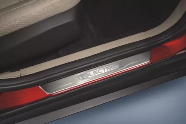 Door Sill Plates, Non-Illuminated - Ford (DM5Z-54132A08-G)