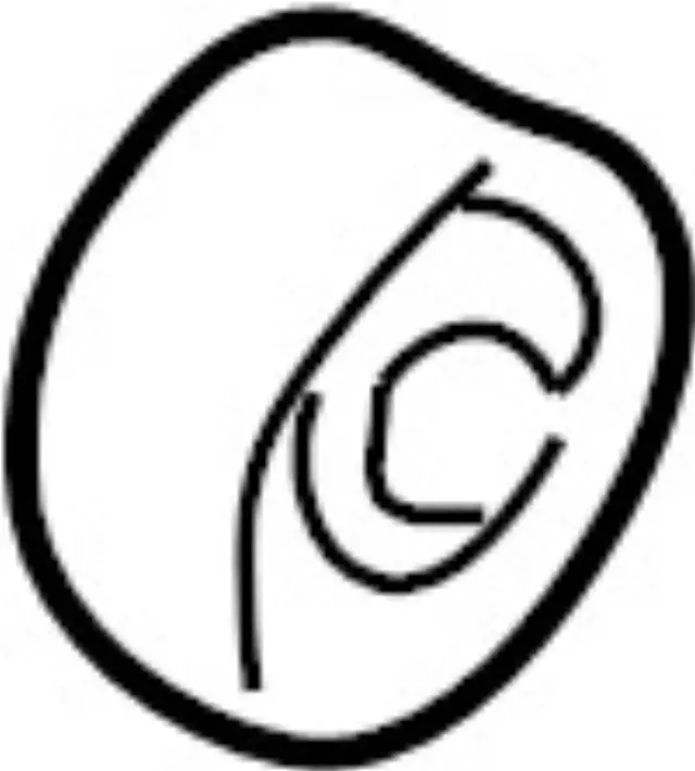 4058888G00 - Suspension: Axle Assembly Bearing for INFINITI: QX4 Image