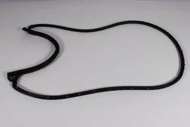 Rear Door Mounted Weatherstrip, Left - Mopar (5067765AC)