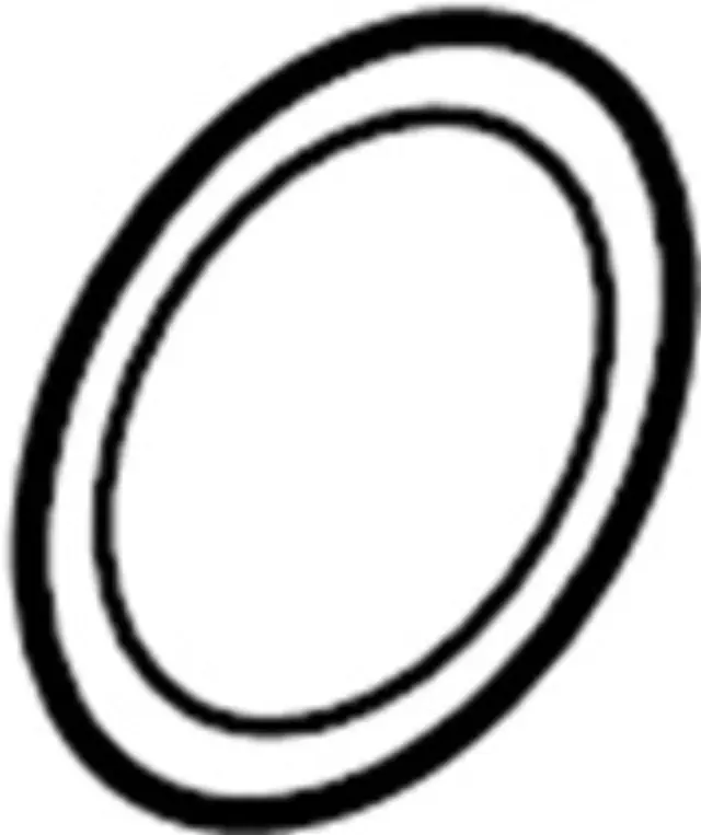 208134GD0A - : Catalytic Converter Gasket for INFINITI: Q50, Q60 Image