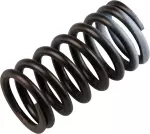 132039N00A - Engine: Valve Springs for Nissan: Altima, Frontier, Maxima, NV1500, NV2500, NV3500, Pathfinder, Xterra Image