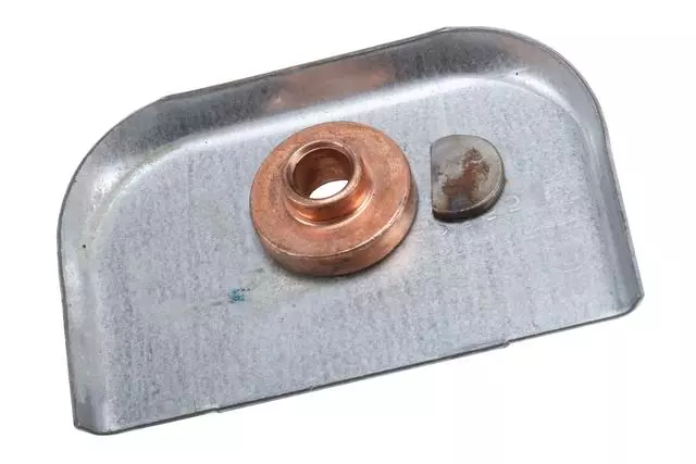 Rear Seat Belt Anchor Plate - GM (15742355)
