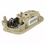 AG1Z5421819AF - Body: Handle, Inside for Ford: Police Interceptor Sedan, Special Service Police Sedan, Taurus Image