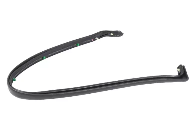 23204920 - Body: Rear Weather-strip for GM Image