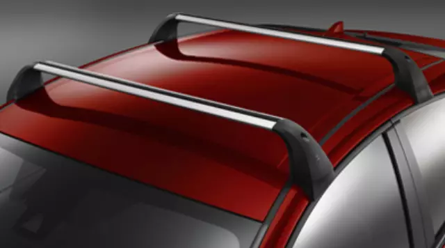 Roof Cross Bars, Removable, 100lb Capacity - Toyota (PW301-47009)