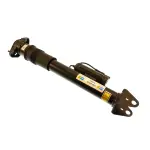 24144919 - : B4 OE Replacement (Air) - Air Shock Absorber for Bilstein Image