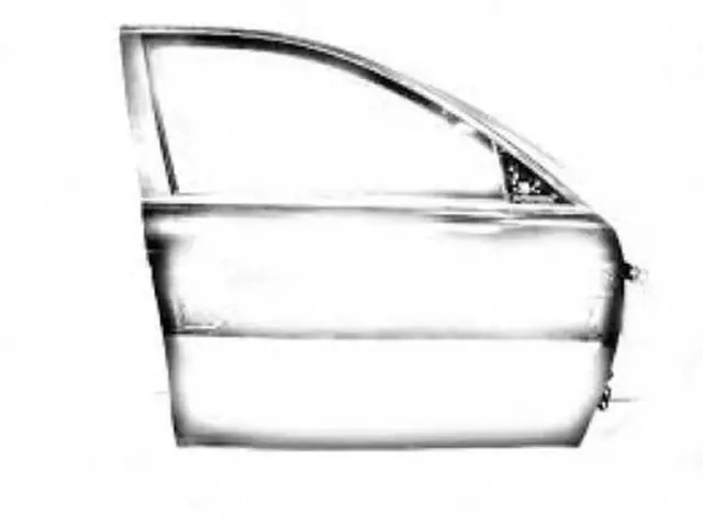 F81Z2520124BB - Body: Door Shell for Ford: Excursion, F-250 Super Duty, F-350 Super Duty, F-450 Super Duty, F-550 Super Duty Image