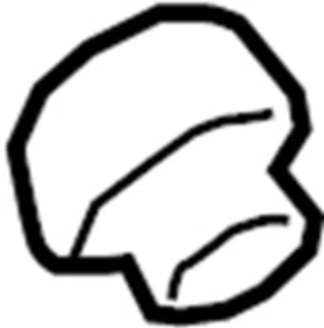 Cap - Infiniti (172514BA0B)