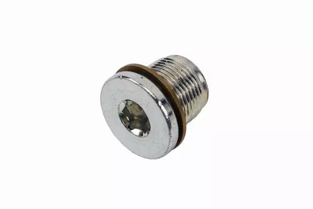 19256069 - : Multi-Purpose Threaded Plug for GM Image
