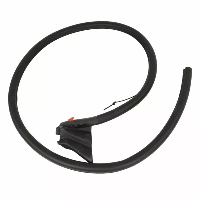 FR3Z7620708B - Body: Weather-strip On Body for Ford Image