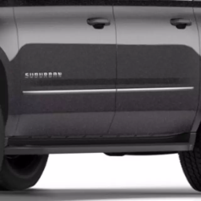 Bodyside Molding - GM (84030737)