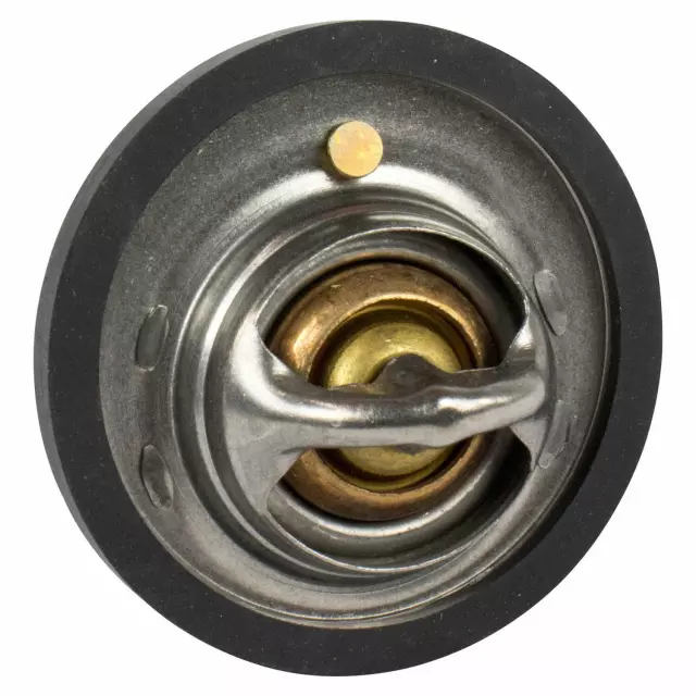 Thermostat Assembly - Ford (QRT-16)