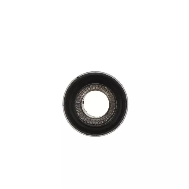 Bushing - GM (19465843)