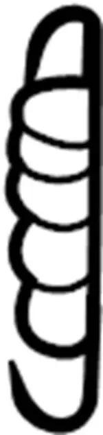 48933WF100 - Steering: Spring for Infiniti Image