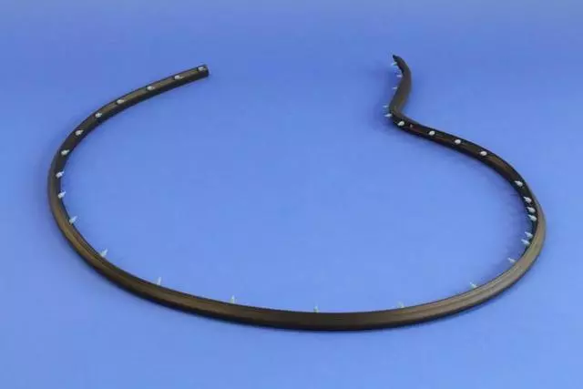 Door Weather-Strip - Mopar (68096403AC)