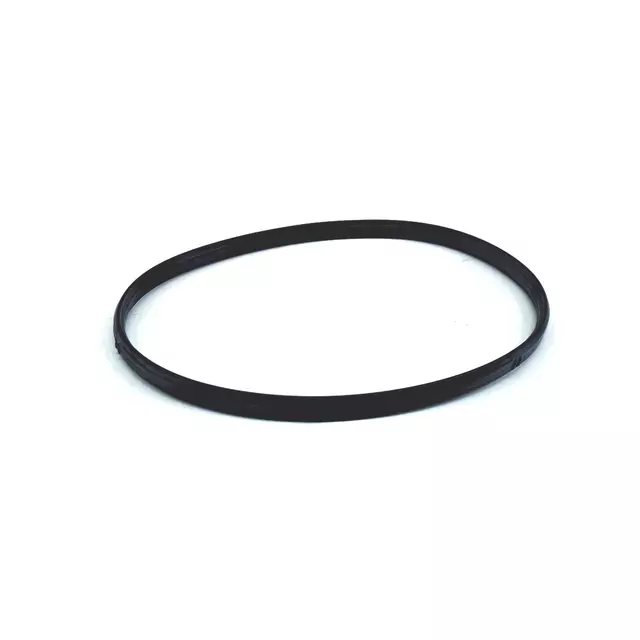 Thermostat Gasket - Volkswagen (079-121-119-C)