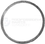 25430969 - : Professional Parts Sweden Catalytic Converter Gasket for PROFESSIONAL PARTS Image