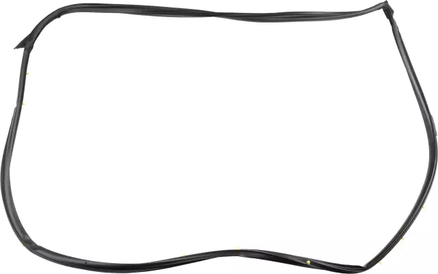 808304RA0D - Body: Door Weather-strip for Nissan: Maxima Image