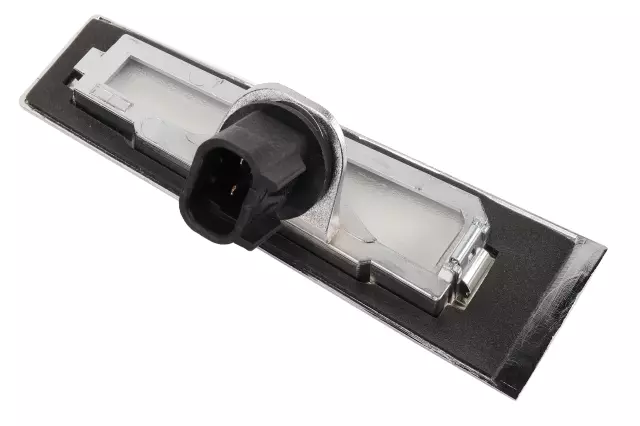 Passenger Side Rear License Plate Lamp - GM (25754002)