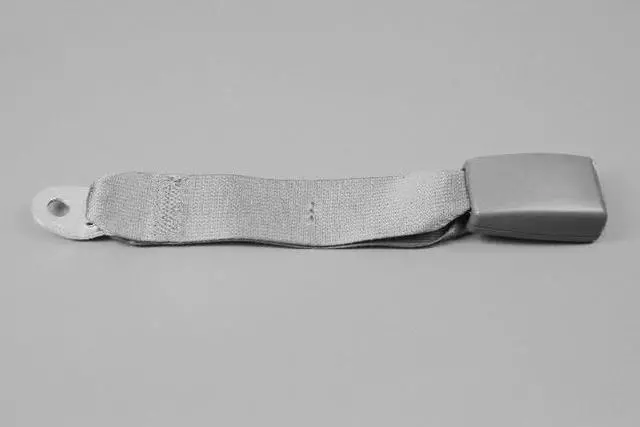 5JJ821DVAA - Electrical: Buckle End for Ram: Dakota Image