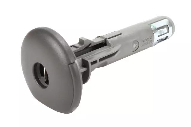 85147714 - Body: Headrest Guide for GM Image