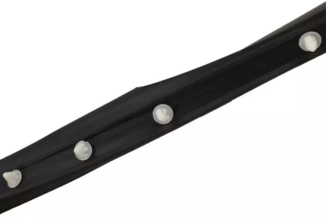 20954939 - Body: Door Weather-strip for Buick: LaCrosse Image