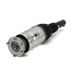 AS3069 - : Arnott Air Suspension Strut for Arnott Image
