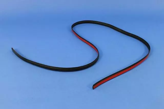 Roof Molding, Right - Mopar (5113660AD)