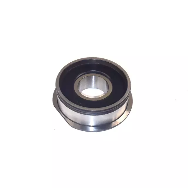 2M311235L - : Manual Transmission Input Shaft Bearing for Volkswagen: Beetle, CC, Eos, Golf, Golf Alltrack, Golf R, Golf SportWagen, GTI, Jetta, Passat Image