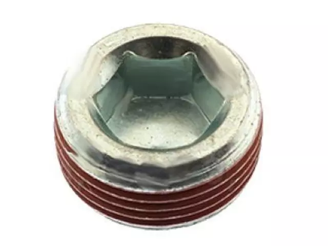 Expansion Plug - Ford (W701548-S437)