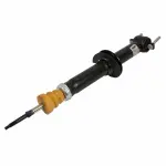 ASH24565 - Suspension: Motorcraftâ„¢ Shock Absorber for Ford: F-150 Image