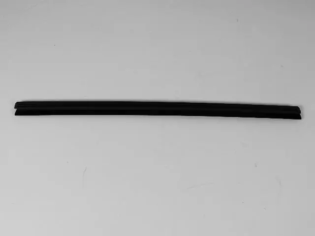 Belt Weather-Strip - Mopar (55276897af)